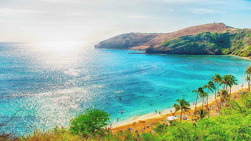 shoreline of a Hawaiian island