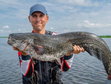 fisherman holding a freshly caught catfish