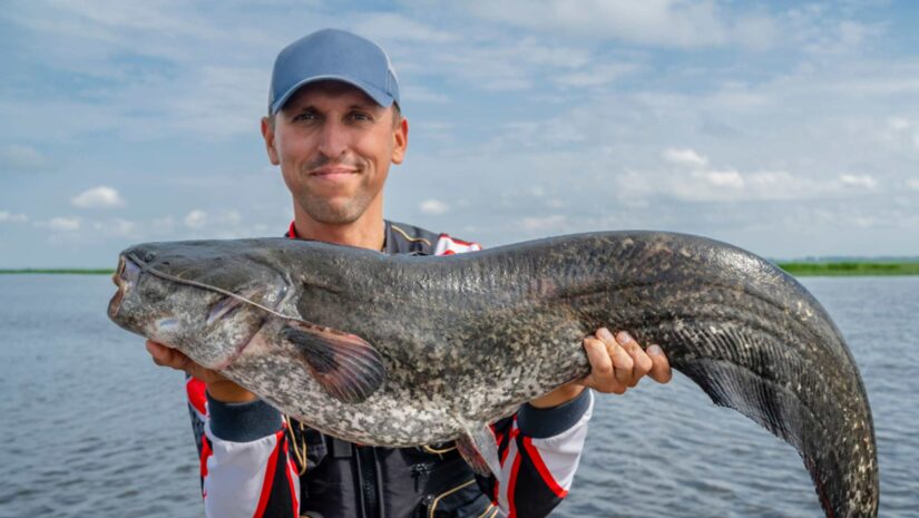 fisherman holding a freshly caught catfish