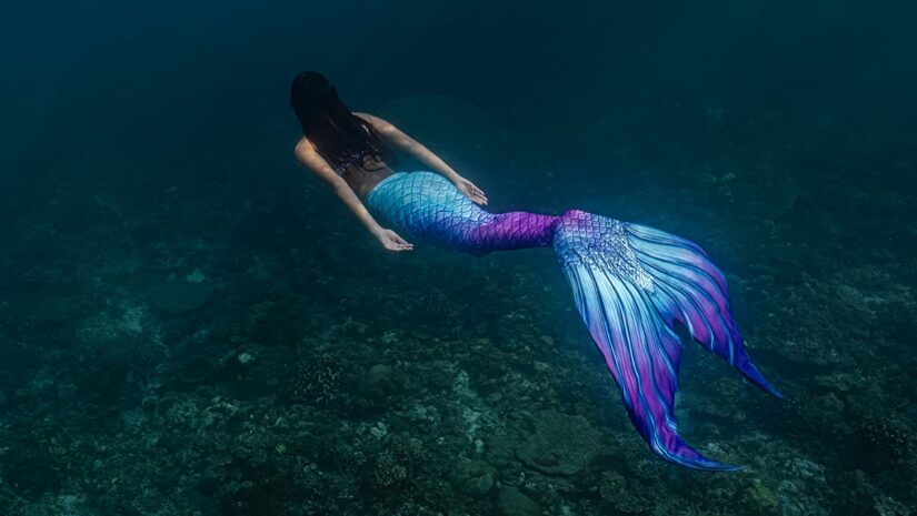 Are Mermaids Real? Tales from Around the World - Scuba.com