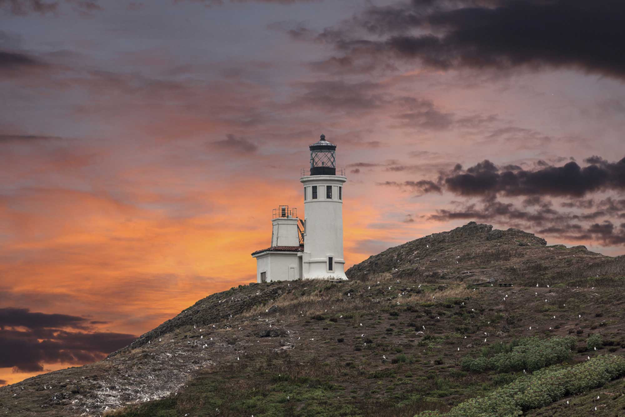 lighthouse in Anacapa, the Channel Islands, California