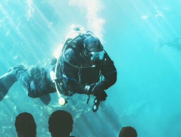 a scuba diver swimming in an aquarium