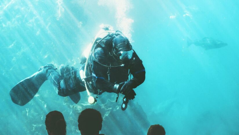 a scuba diver swimming in an aquarium