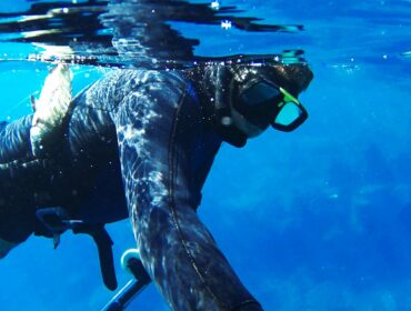 diver swimming and fishing on the surface of the ocean