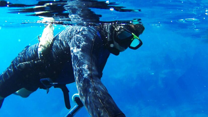 Best Spearfishing and Freediving Wetsuits
