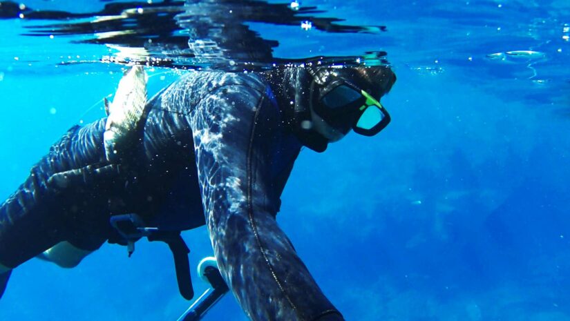 diver swimming and fishing on the surface of the ocean