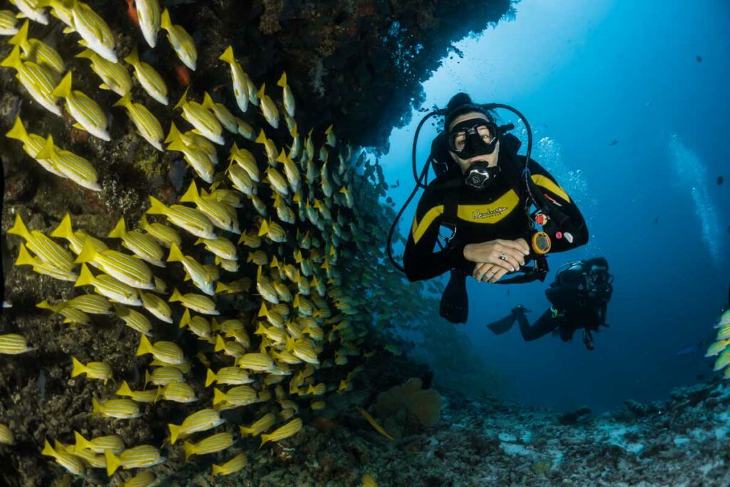 scuba diving dive computers