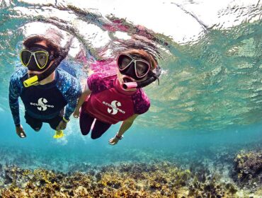 THE BEST 10 Snorkeling in WINDSOR, ON - Last Updated January 2024 - Yelp