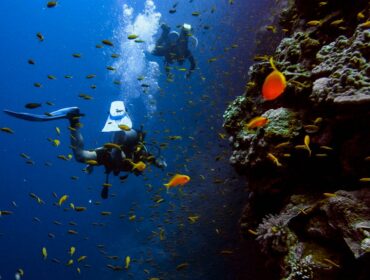 scuba diving underwater scuba diving certification