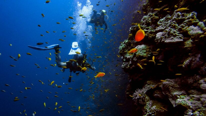 scuba diving underwater scuba diving certification