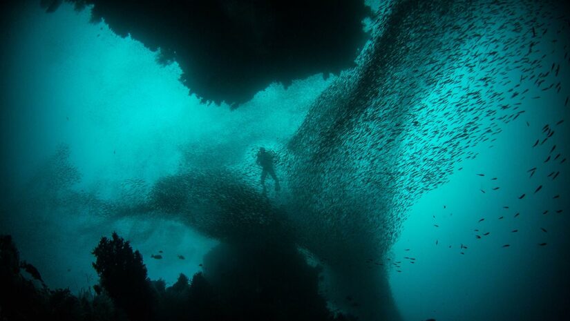 Raja Ampat, Indonesia scuba diving