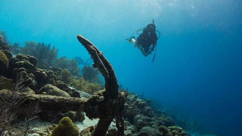 Bonaire scuba diving