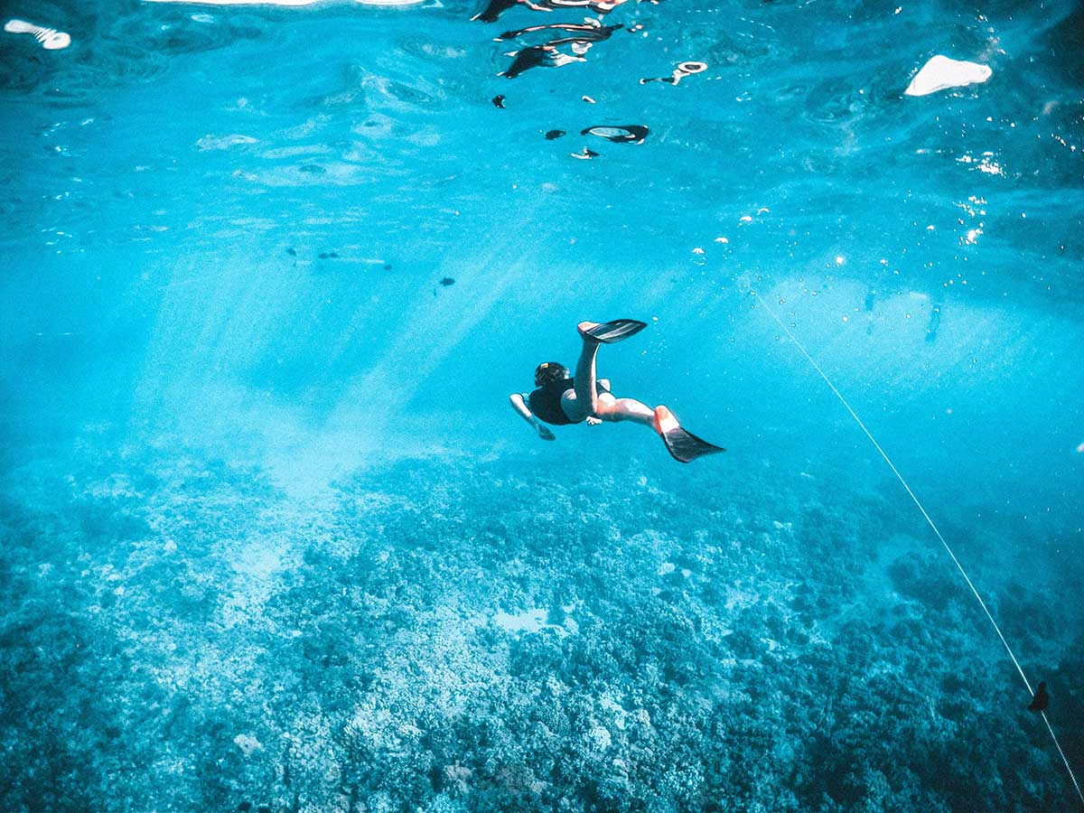 Dive into the Depths: Essential Scuba Diving Tips for Beginners