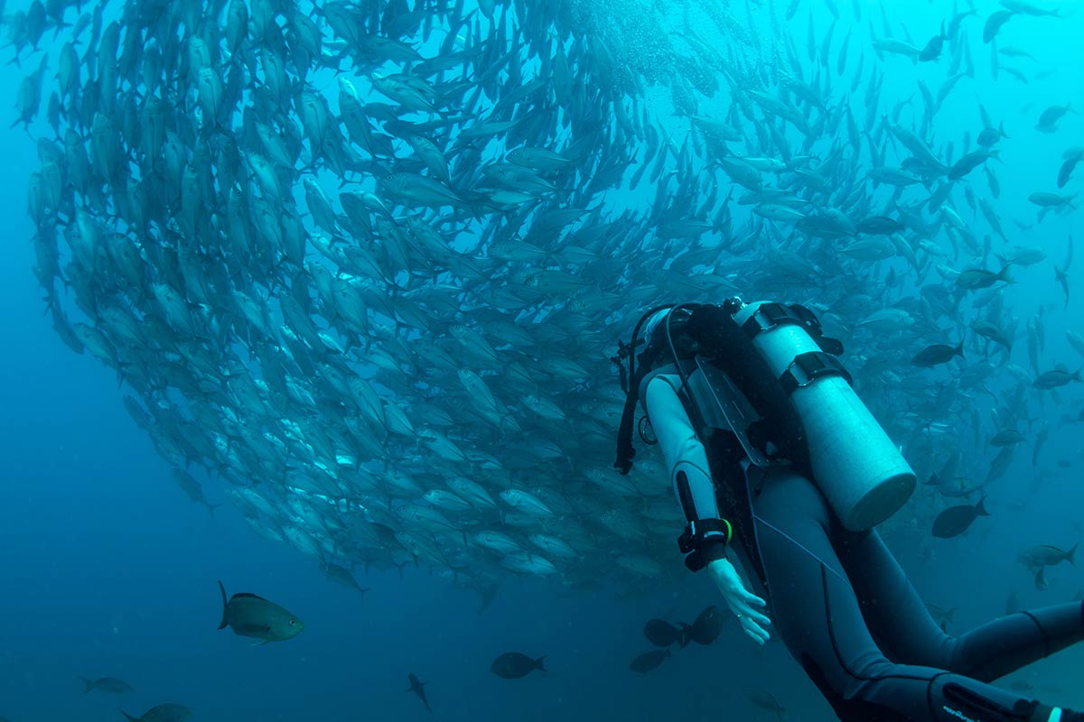 Mexico scuba diving