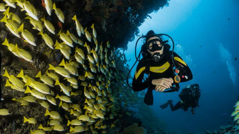 scuba diving for beginners two scuba divers underwater