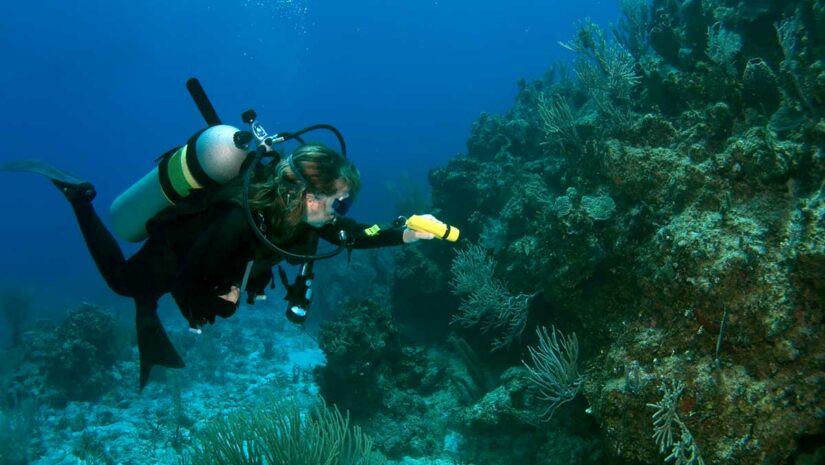 scuba diver with underwater flashlights