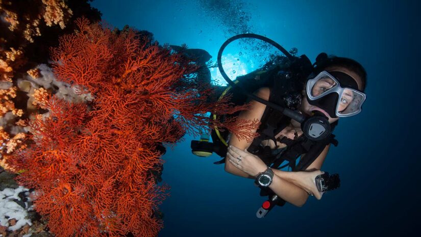 II. Factors to Consider when Choosing a Diving Camera