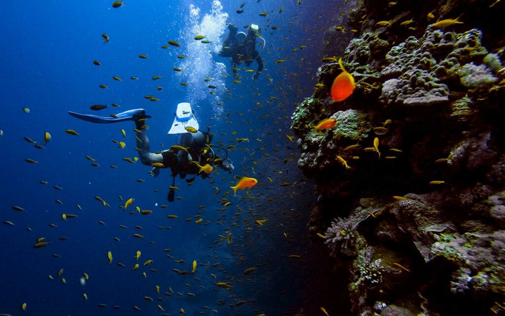 underwater scuba diving two people