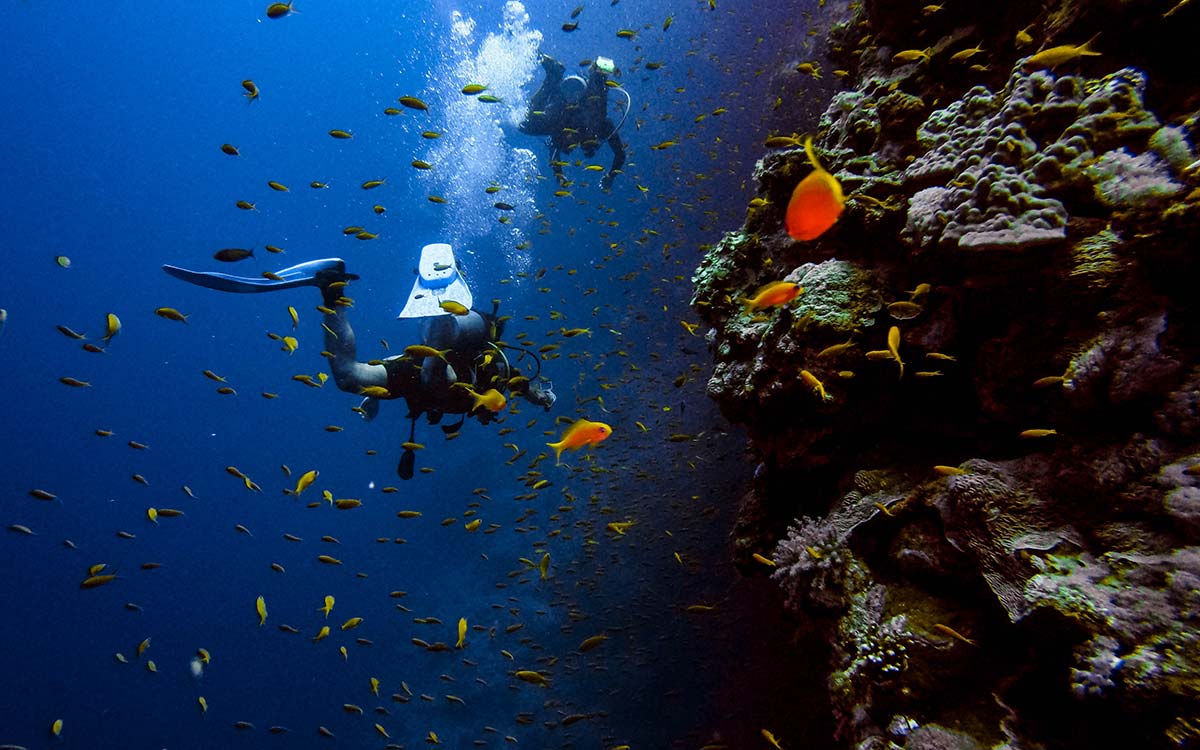 Drinking & Diving How Alcohol Affects Scuba Diving