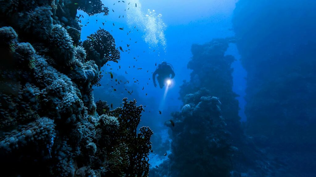 scuba diver with dive light