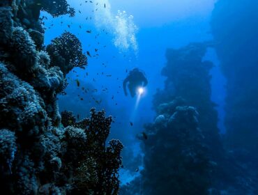 scuba diver with dive light