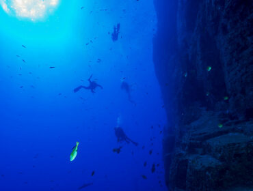 Socorro (Revillagigedo Islands) diving