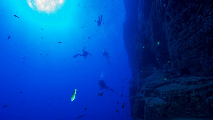 Socorro (Revillagigedo Islands) diving