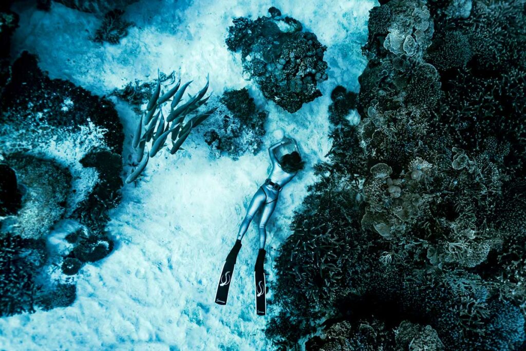 melissa findlay freediver underwater with stingray