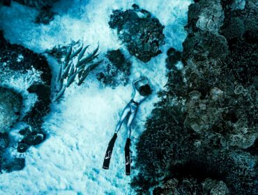 melissa findlay freediver underwater with stingray