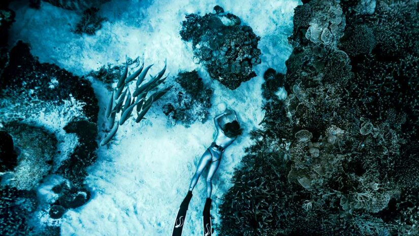 melissa findlay freediver underwater with stingray