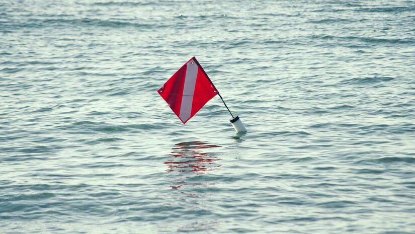 diver down flag in water