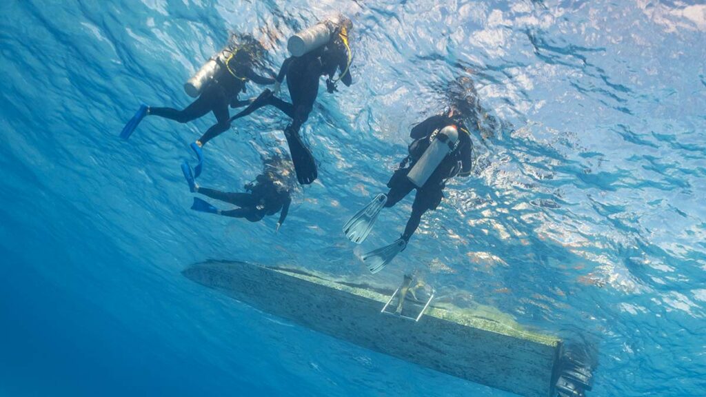 scuba divers surfacing to water next to dive boat