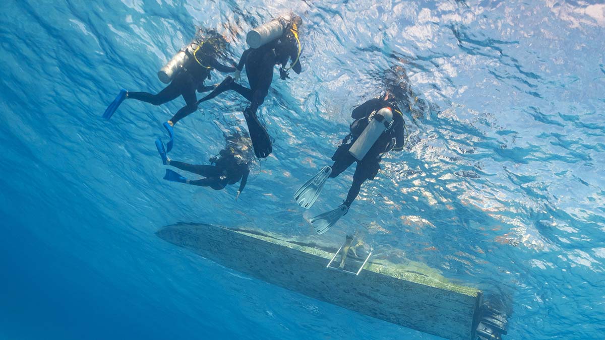 Top Scuba Diving Jobs for an Underwater Career