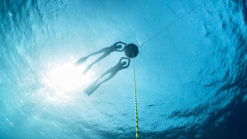 freedivers approaching surface