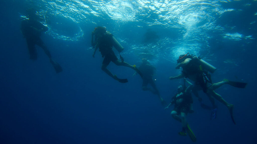 group of scuba divers underwater