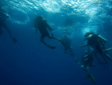 group of scuba divers underwater