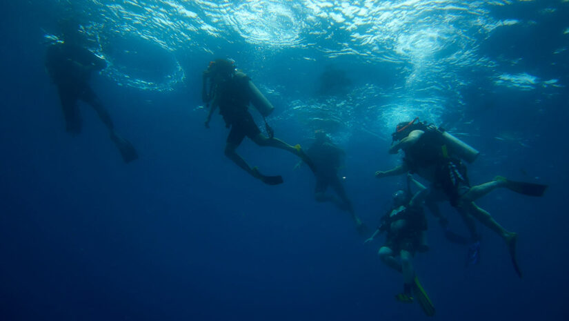 group of scuba divers underwater