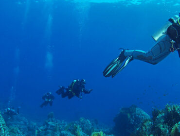 group of scuba divers underwater