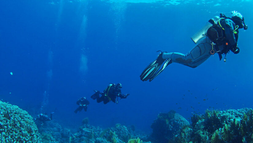 group of scuba divers underwater