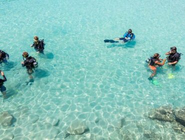 group of scuba divers in diving course with instructors