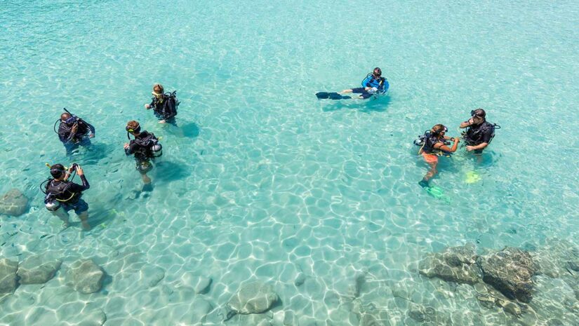 group of scuba divers in diving course with instructors