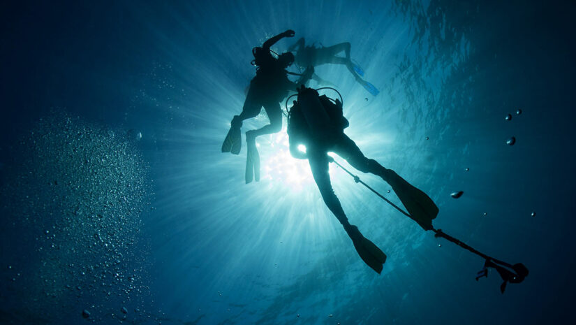 scuba divers ascent descent line