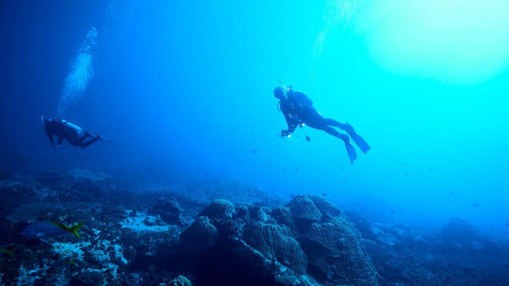 two scuba divers observing rocks