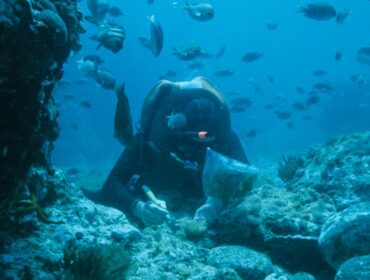 underwater scuba diver