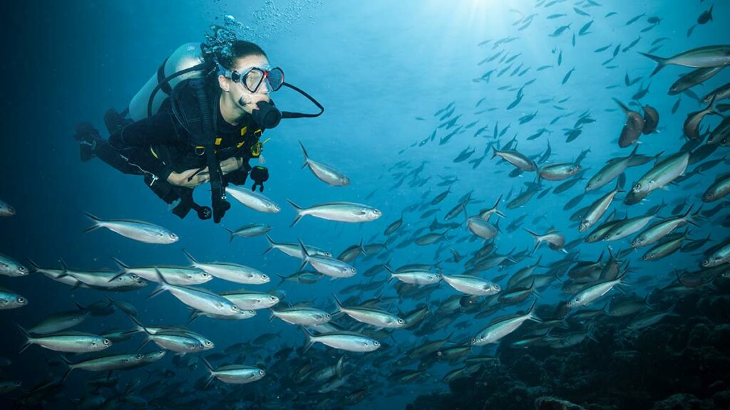 scuba diver underwater with fish