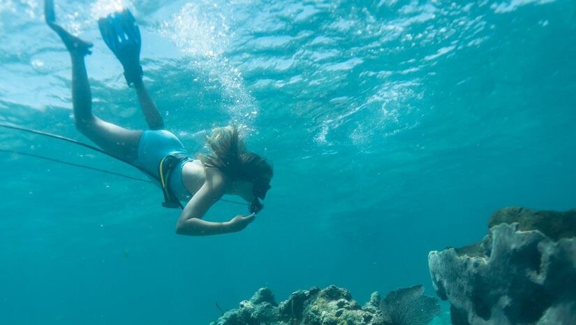 snuba diver underwater looking at coral