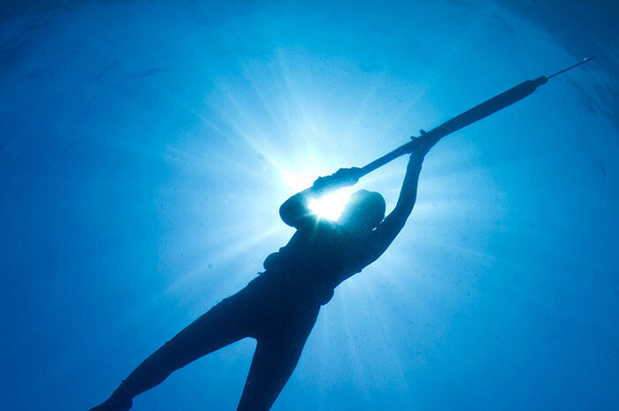 spearfisher with spear underwater