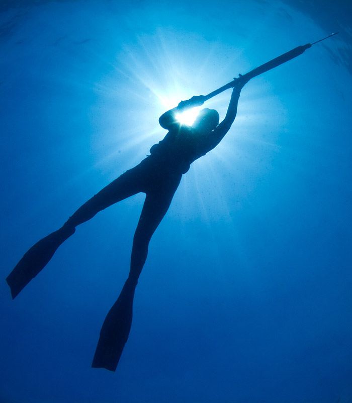 spearfisher with spear underwater