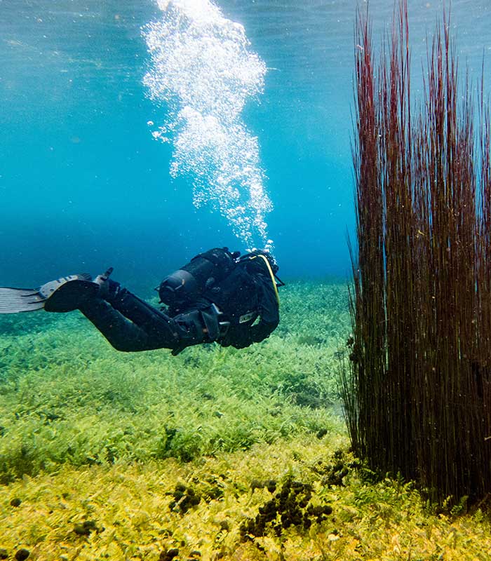 scuba diver diving in lake