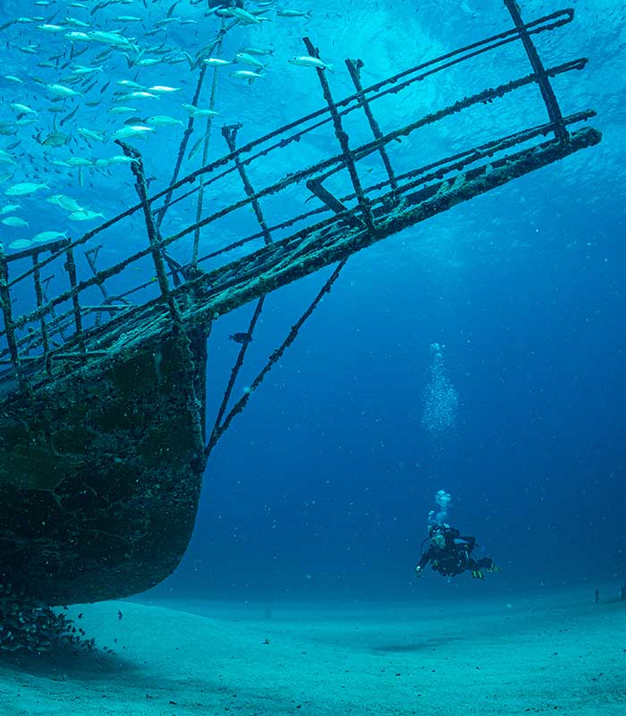 scuba diver diving next to underwater shipwreck